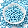 Baking Paint Glass Seed Beads SEED-H003-02D-2