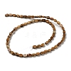 Natural Picture Jasper Beads Strands G-M420-H10-03-3