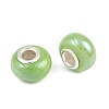 Handmade Porcelain European Beads OPDL-G001-9-2