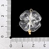 Transparent Acrylic & Stainless Steel Pendants TACR-G051-01G-02-3