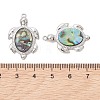 Natural Paua Shell Epoxy Resin Pendants PALLOY-JF05271-02-4