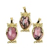 Natural Rhodonite Pendant KK-F887-02G-08-1