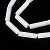 Natural Trochid Shell/Trochus Shell Beads Strands X-SSHEL-S266-020A-03-3