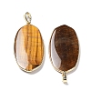 Natural Tiger Eye Pendants G-K338-05I-2