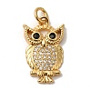 Rack Plating Brass Micro Pave Cubic Zirconia Pendants KK-K377-41G-1