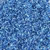 Transparent Inside Colours Glass Seed Beads X1-SEED-A032-04D-3