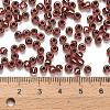 TOHO 6/0 Round Beads SEED-XTR06-0746-3