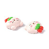 Opaque Resin Cabochons CRES-P023-02E-3