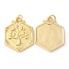 Eco-Friendly Rack Plating Brass Pendants KK-R143-16G-1