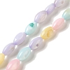 Rainbow Color Dyed Natural Freshwater Shell Beads Strands X1-SHEL-G018-02H-1