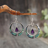 Bohemian Style Zinc Alloy Plastic Dangle Earrings FS-WG6C237-01-1