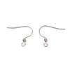 316 Surgical Stainless Steel Earring Hooks STAS-M288-07P-B-2