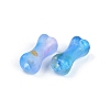 Gradient Color Transparent Acrylic Beads X1-OACR-M023-01H-2