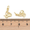 Brass Pendants KK-Z132-03G-03-3
