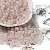 Transparent Colours Glass Seed Beads X-SEED-F006-03A-06-1