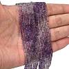 Natural Amethyst Beads Strands G-H321-A01-01-2
