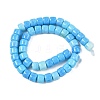 Dyed Glass Beads Strands GLAA-H037-01E-2