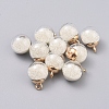Transparent Glass Globe Pendants GLAA-TAC0002-K01-1