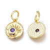 Brass Micro Pave Cubic Zirconia Charms ZIRC-H100-03-3