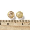 Handmade Gold Foil Glass Beads LAMP-P068-13D-2