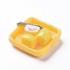 Resin Cabochons LS-RESI-Z002-17-3
