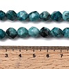 Natural Map Stone Beads Strands G-Z119-A23-02-6
