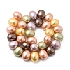 Shell Pearl Beads Strands BSHE-F013-01N-2