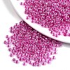 8/0 Glass Seed Beads X-SEED-A015-3mm-2203-1