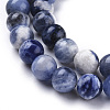 Natural Sodalite Beads Strands G-K410-02-8mm-3