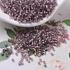 MIYUKI Delica Beads X-SEED-J020-DB0146-1