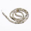 Natural Labradorite Bead Strands G-G735-29-4mm-2