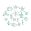 Ocean Theme Transparent Acrylic Beads TACR-T028-69-01B-2