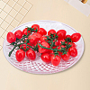 2Pcs Plastic Imitation Cherry Tomato AJEW-SP0004-32-7