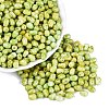 Picasso Glass Seed Beads SEED-N012-10I-1
