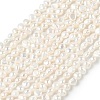 Natural Cultured Freshwater Pearl Beads Strands PEAR-C004-09A-2