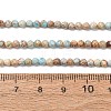 Natural Imperial Jasper Beads Strands G-L578-A14-3