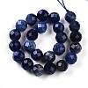 Natural Sodalite Beads Strands G-S345-8mm-26-3