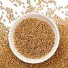 TOHO 8/0 Round Beads SEED-XTR08-0701-2