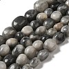 Natural Zebra Jasper Beads Strands G-A247-02-1