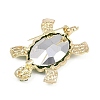 Ocean Series Alloy Rhinestone Brooch JEWB-K026-01C-01-2