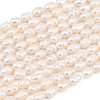 Natural Cultured Freshwater Pearl Beads Strands PEAR-F020-20A-2