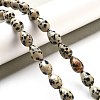 Natural Dalmatian Jasper Beads Strands G-B106-A29-02-2