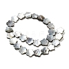 Natural Black Lip Shell Beads Strands SHEL-M021-02B-2