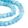 Natural Jade Imitation Amazonite Beads Strands G-E560-A03-A-3