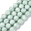 Natural Glass Beads Strands G-I247-31H-4