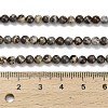 Natural Astroite Jasper Beads Strands G-F814-A01-4mm-5