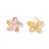 Natural Sea Shell Beads BSHE-L043-20-2