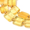 Natural Amber Beads Strands G-C260-A01-04-4