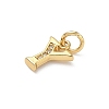 Brass Micro Pave Cubic Zirconia Charms KK-I382-03G-Y-2