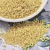 MIYUKI Delica Beads SEED-J020-DB1581-1